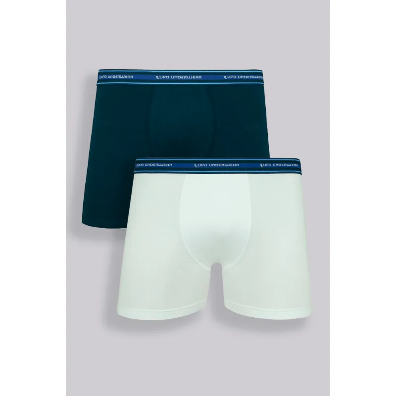 Kit 2 Cuecas Boxer Algodão Infantil Masculina Lupo Tamanho: P | Cor: Sortida