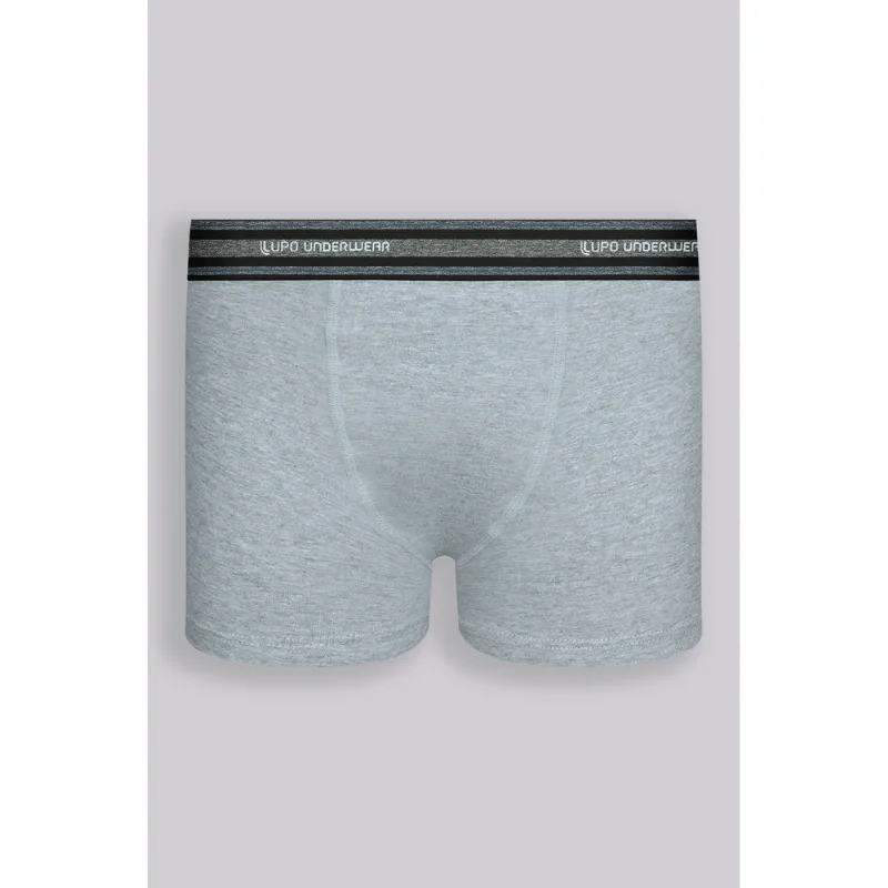 Cueca Boxer Algodão com Elastano Infantil Masculina Lupo Tamanho: G | Cor: Mescla Cinza