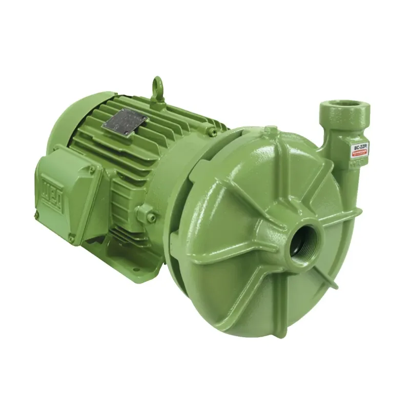 Bomba Centrífuga BC-22 R 1.1/2 7.5CV Trifásica 220/380/440/760v IR3 Schneider