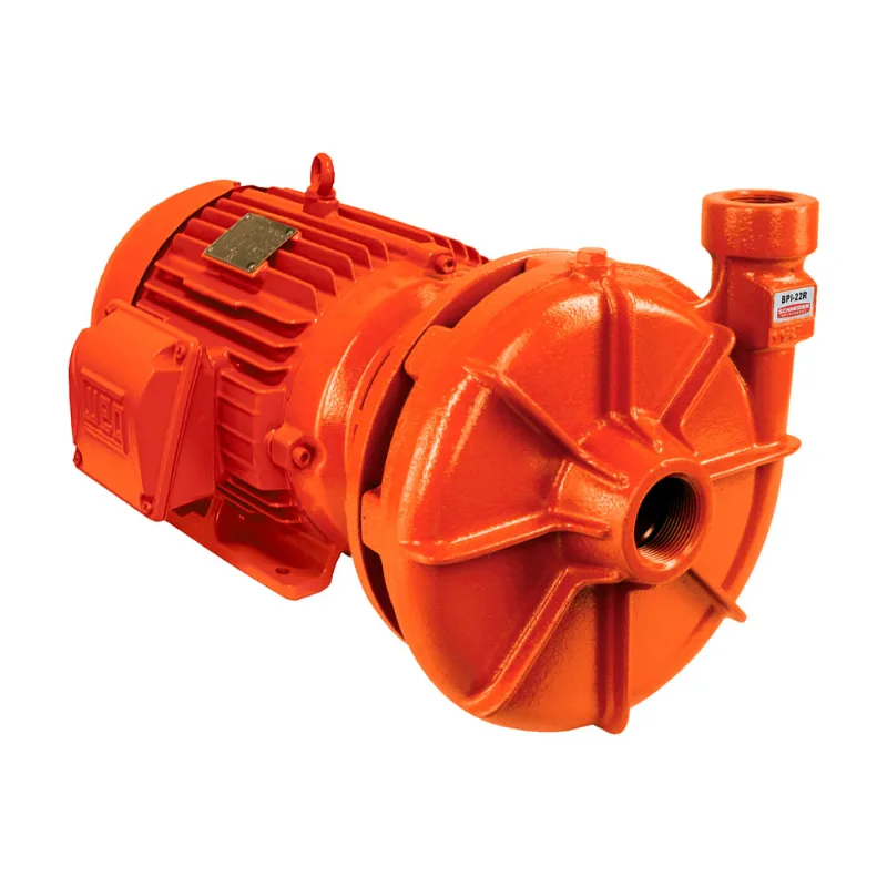 Bomba de Incendio Schneider BPI 22 R Saida Roscada Saida Roscada 2" x 1/2" 7.5Cv Trifasico 380/660V