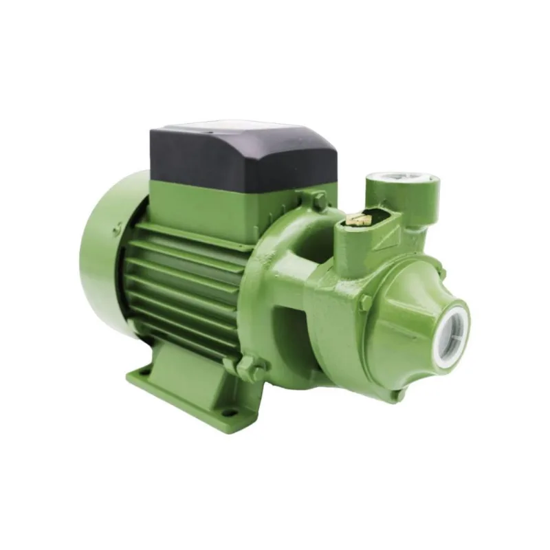 Motobomba Periférica Schneider PG-10 1 Polegada 1CV 220V