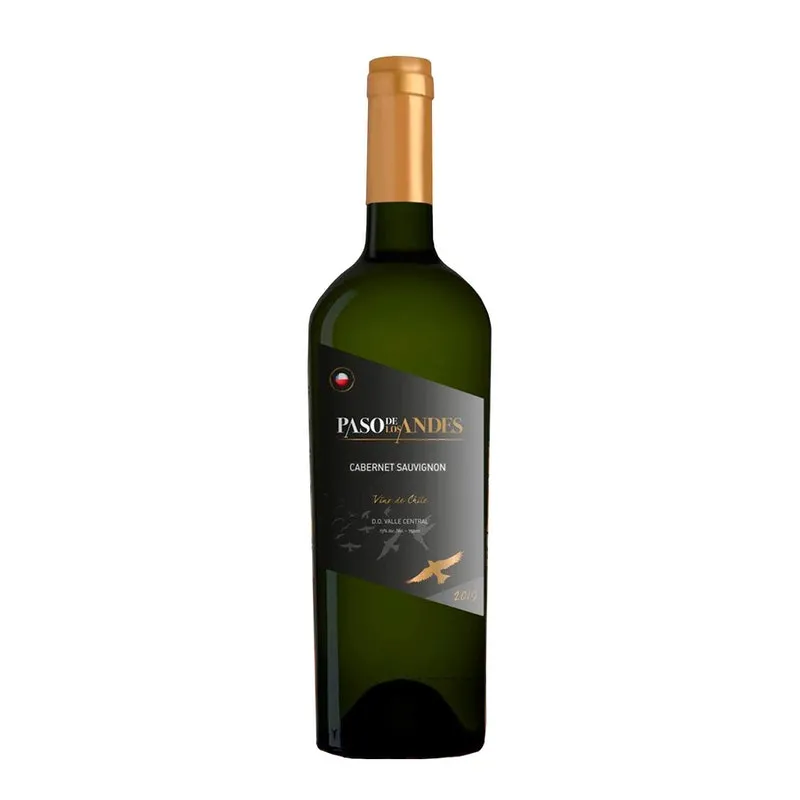 Vinho Tinto Chile Cabernet Sauvignon Paso De Los Andes