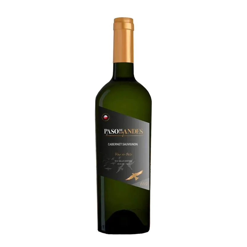 Kit Caixa 6 Vinhos Chile Cabert Sauvignon Paso De Los Andes