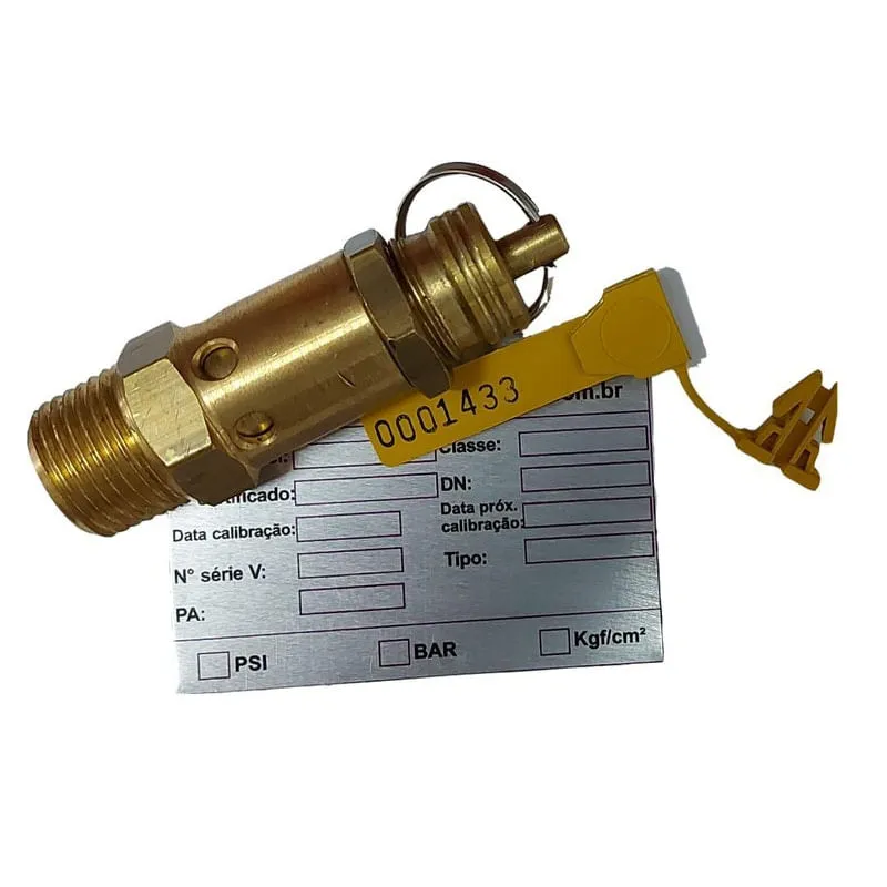 Válvula De Segurança Calibrada 1/2 175 Psi Com Certificado