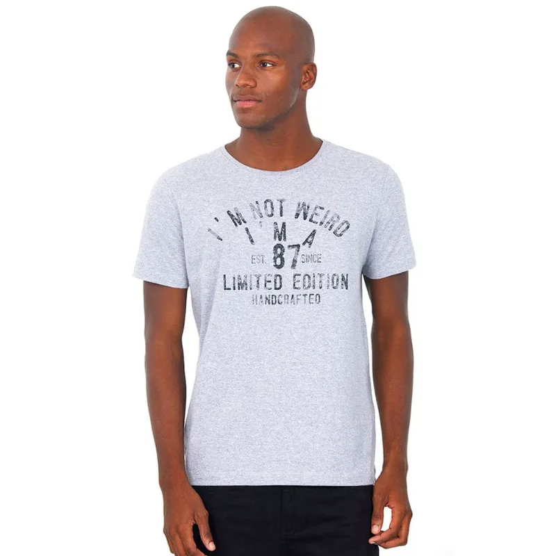Camiseta Estampada Masculina Polo Wear Mescla Médio Cinza P