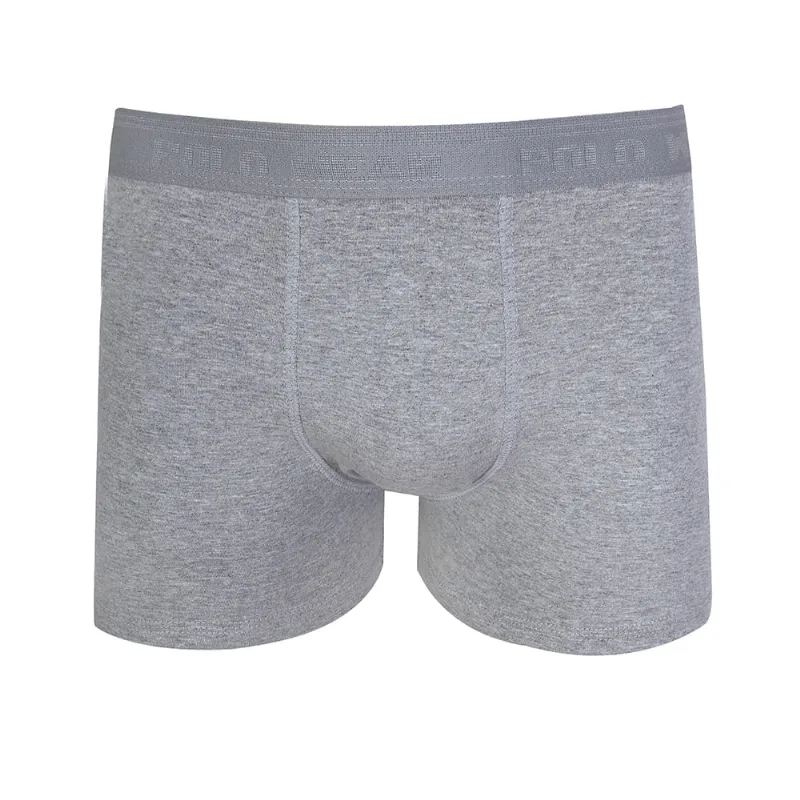 Cueca Boxer Trunk Polo Wear Cinza P