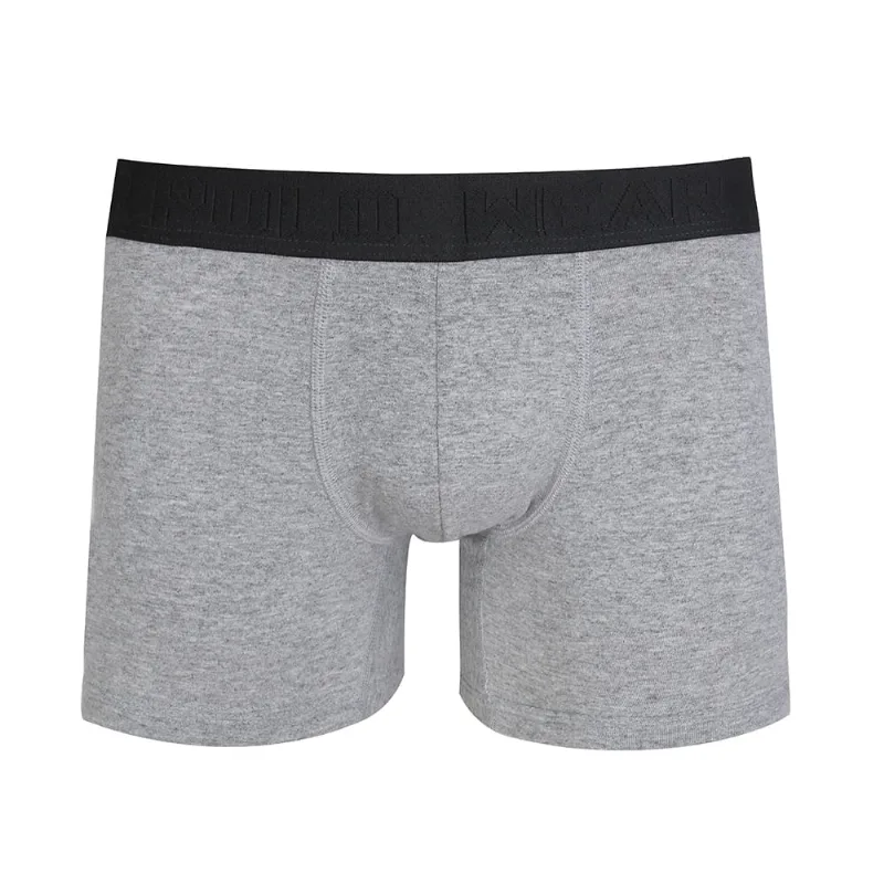 Cueca Boxer Polo Wear Cinza P