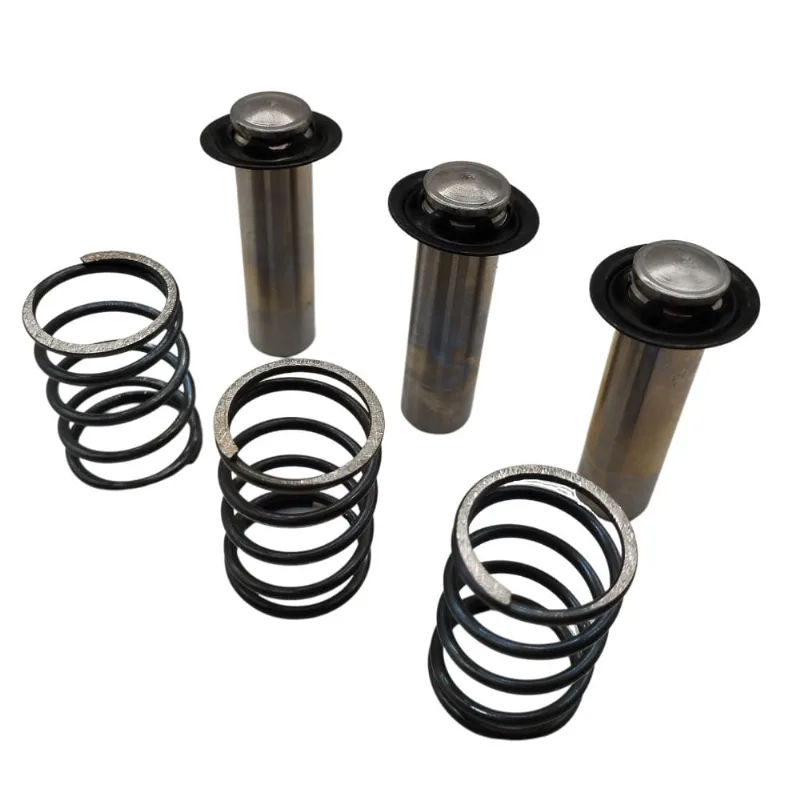 Kit Pistão com Mola para Lavadora Electrolux Power Wash PWS20 PWS20012 A09802001