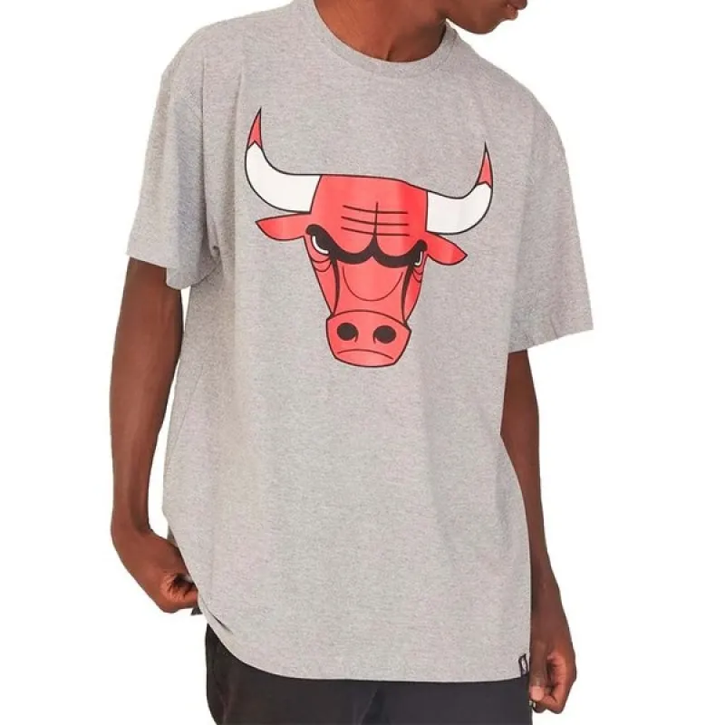 Camiseta NBA Chicago Bulls P / Cinza