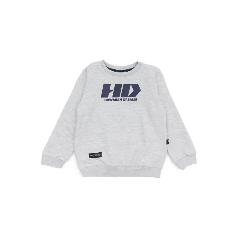 Moletom HD Infantil Estampado Cinza Mescla - 4