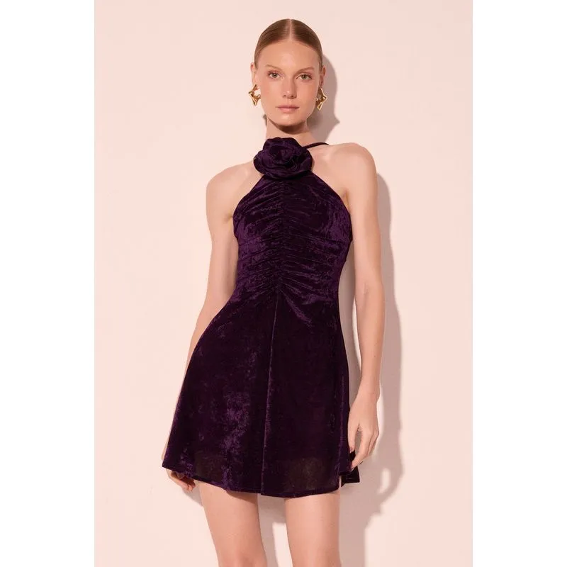 Vestido Curto Com Detalhe Celosia Roxo GG/XL