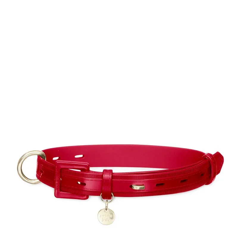 Coleira Vermelho PJ20031 47CM