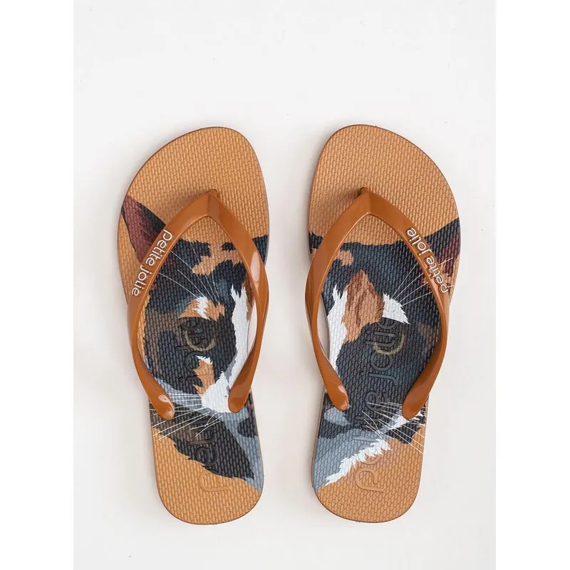 Chinelo Petite Jolie Fresh Pet Lovers 15 PJ6969 36