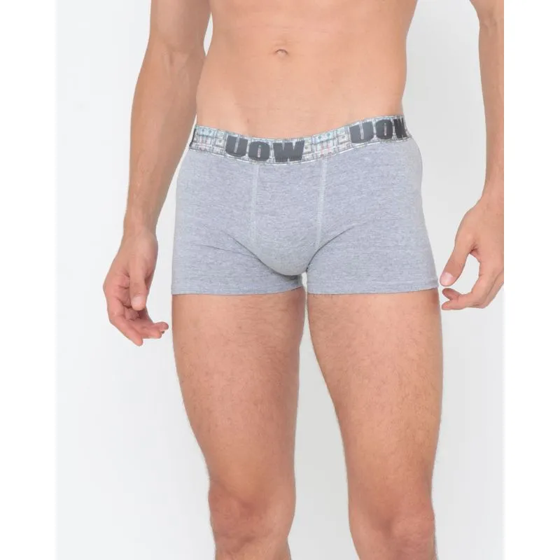 Cueca Boxer de Algodão Com Elástico Estampado Cinza P
