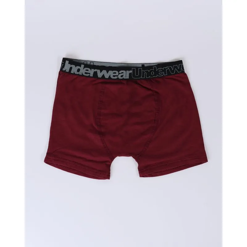 Cueca Boxer Juvenil Algodão Vinho 10