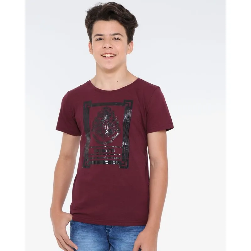 Camiseta Juvenil Manga Curta Harry Potter Warner Vinho 16