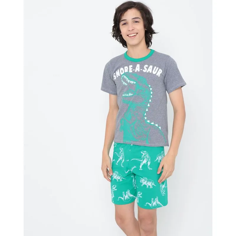 Pijama Juvenil 2 peças Estampa Dinossauro Mescla Cinza 14