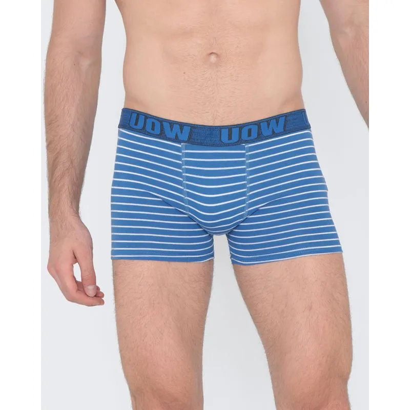 Cueca Boxer Algodão Listrada Azul G