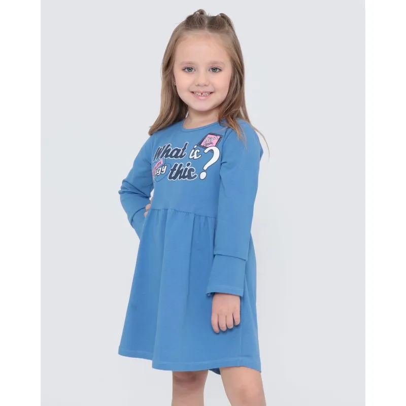 Vestido Infantil Manga Longa Estampado Azul 4