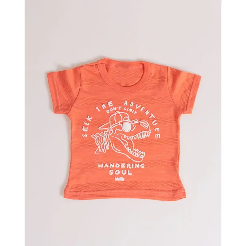 Camiseta Bebê Dinossauro Flamê Laranja P