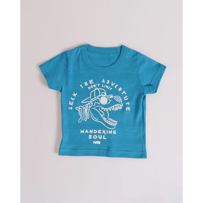 Camiseta Bebê Dinossauro Flamê Azul P