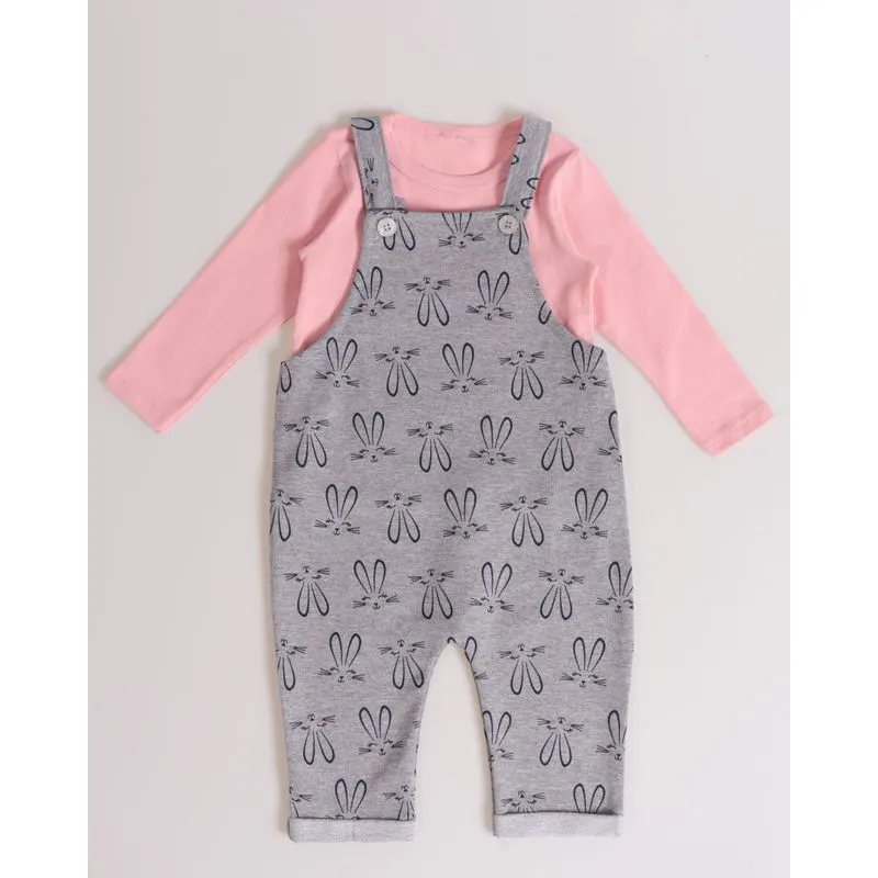 Conjunto Bebê Moletom Estampa Coelhinhos Cinza P