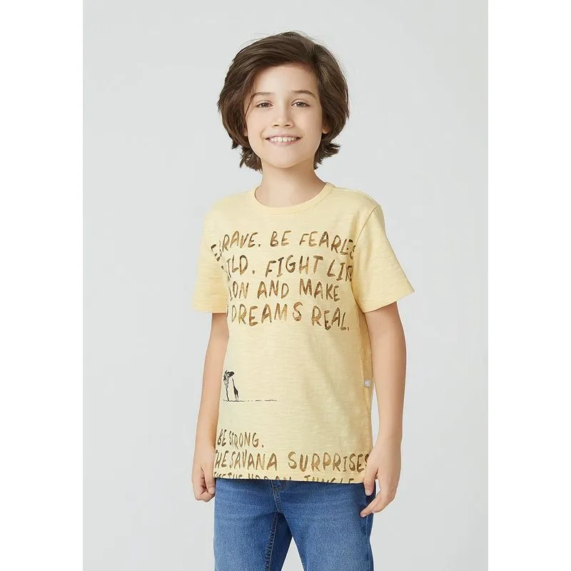 Camiseta Manga Curta Menino Flamê