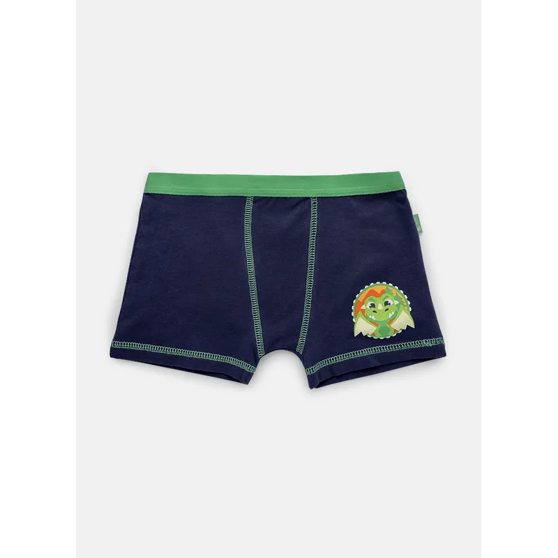 Cueca Boxer Algodão Menino Teen Dragão Camping 12