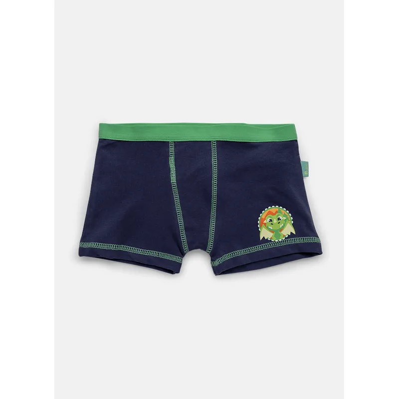 Cueca Boxer Algodão Menino Dragão Camping 2