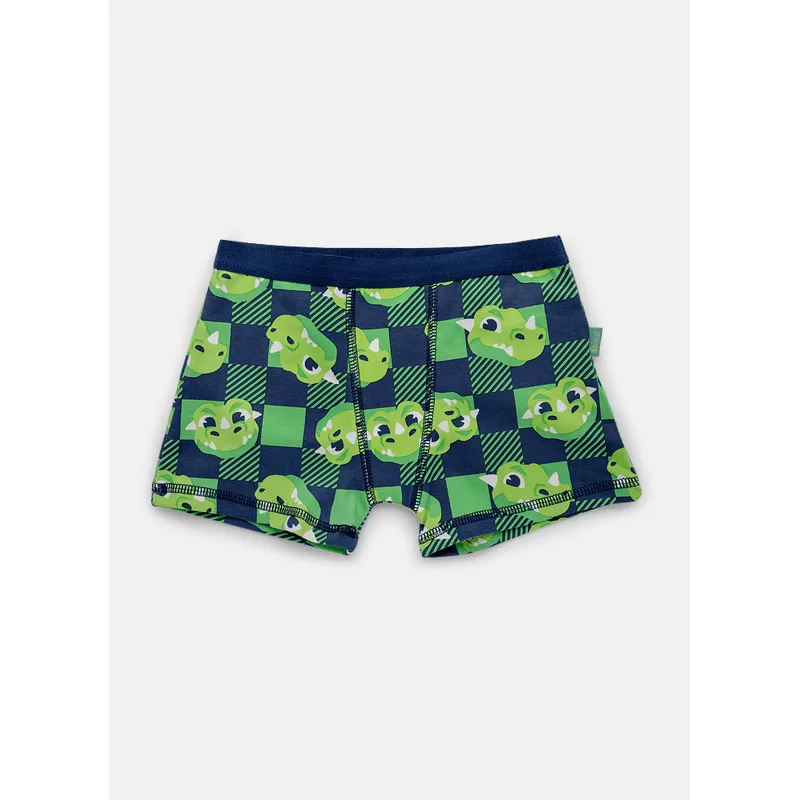 Cueca Boxer Algodão Menino Dragão Camping 6