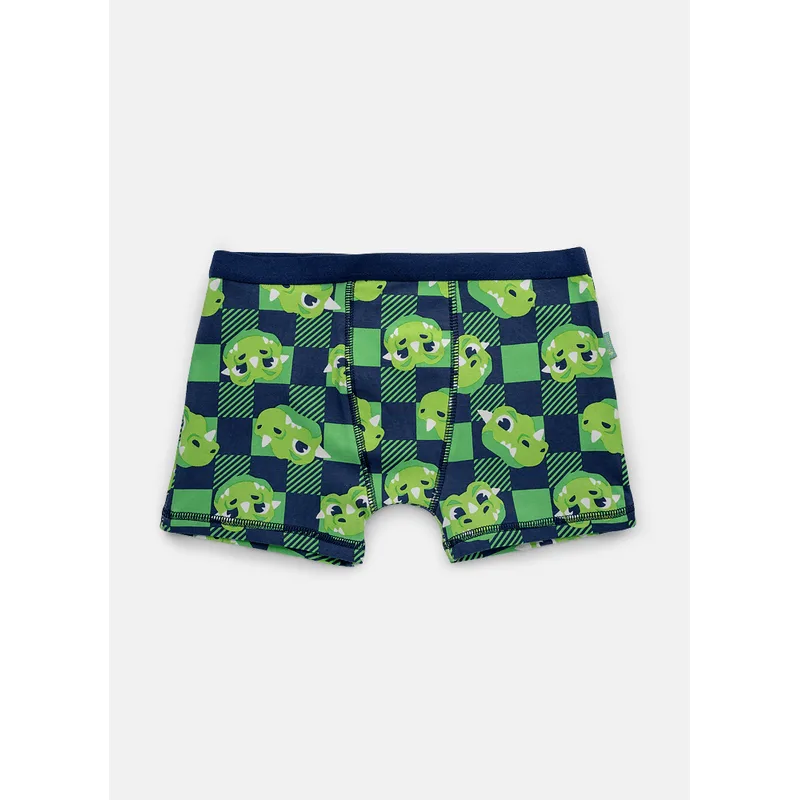 Cueca Boxer Algodão Menino Teen Dragão Camping 10
