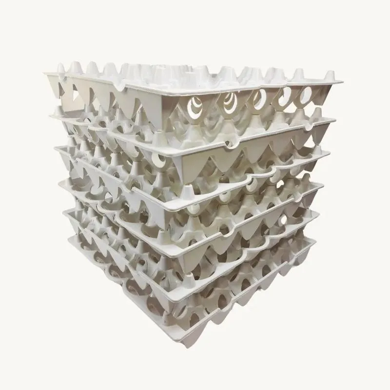 Kit Com 6 Bandejas Plásticas Para Ovos Organiza Geladeira