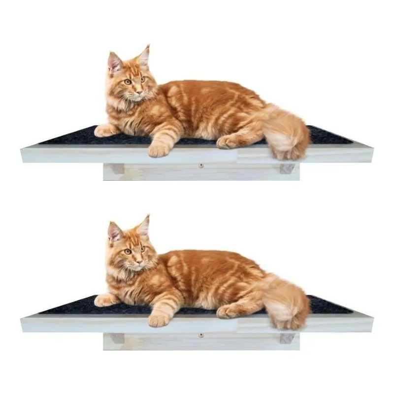2 Playground Para Gato Descanso Prateleira Resistente 12mm