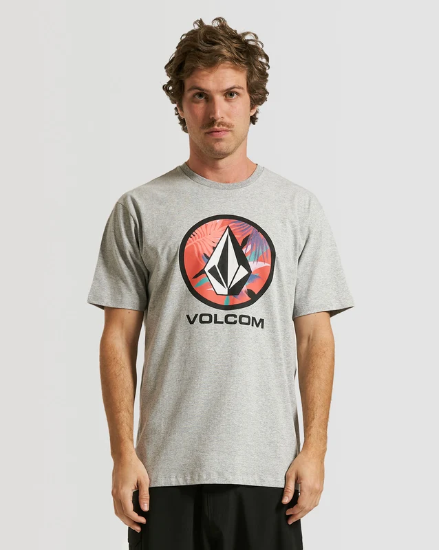 Camiseta Volcom Regular Circle Stone Leaf Cinza M / MESCLA CINZA