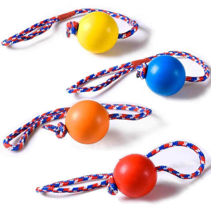 Acessório Pet Bolinha 60cm X 30cm Com Corda Sortido