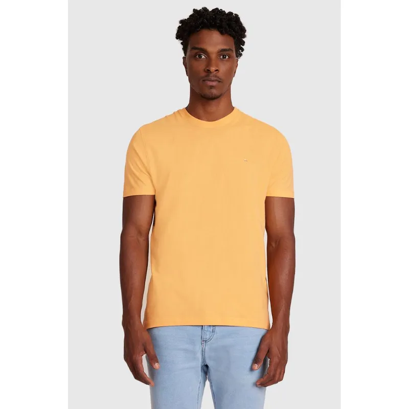 Camiseta Básica Malha Regular Bergamota - G