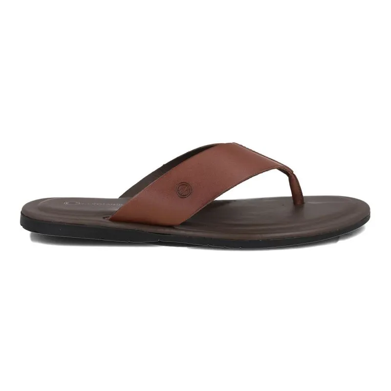 Chinelo Constantino Casual Masculino Castanho 40