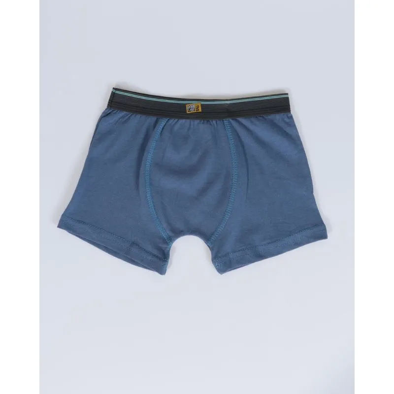 Cueca Boxer Infantil Com Elástico Azul Escuro 8