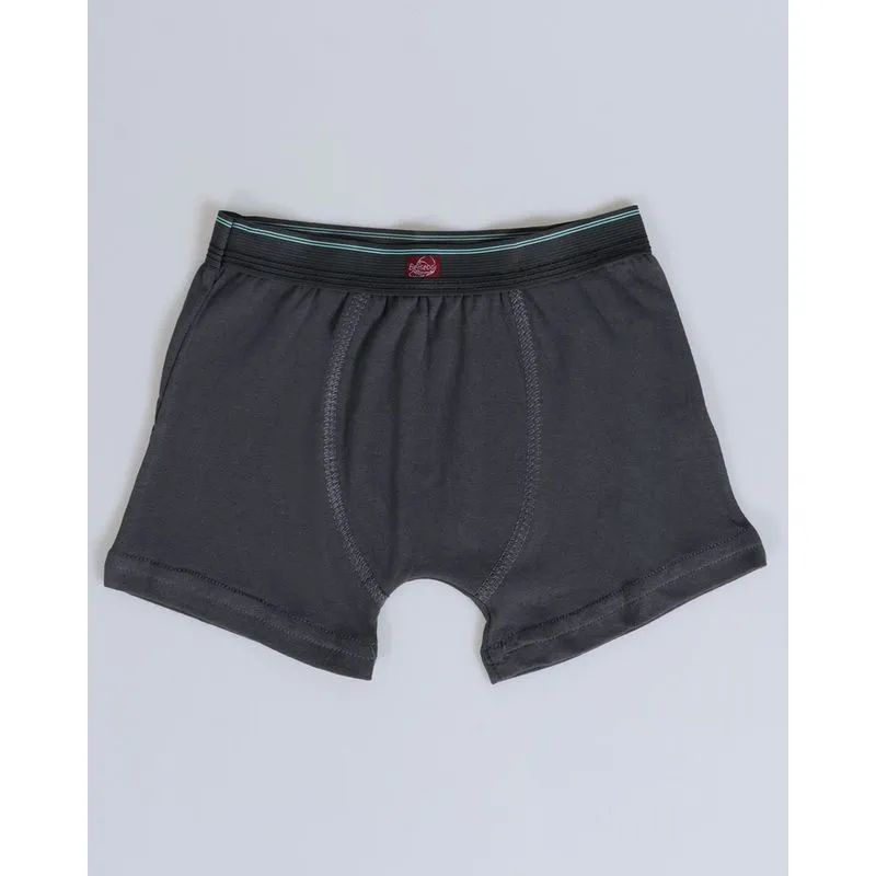 Cueca Boxer Infantil Com Elástico Cinza Escuro 4