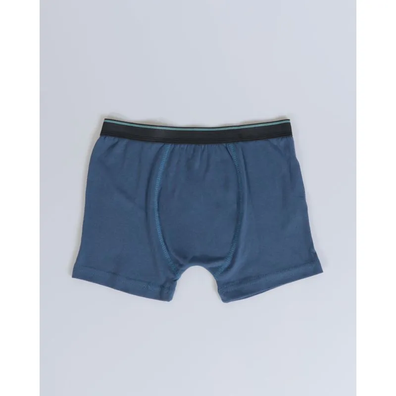 Cueca Boxer Juvenil Algodão Azul 14