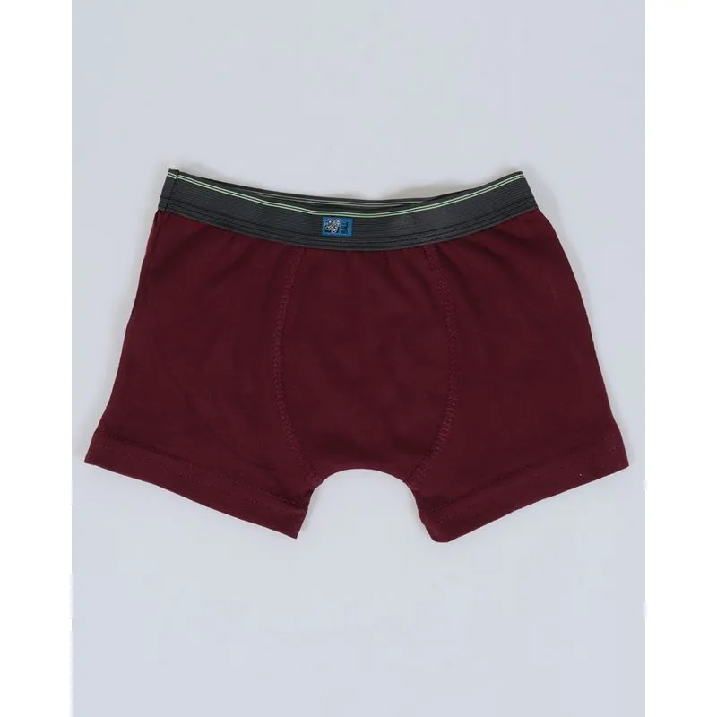 Cueca Boxer Infantil Com Elástico Vinho 8