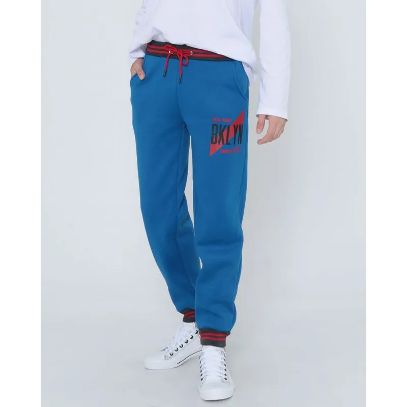 Calça Moletom Juvenil Jogger Estampa Frontal Azul 12