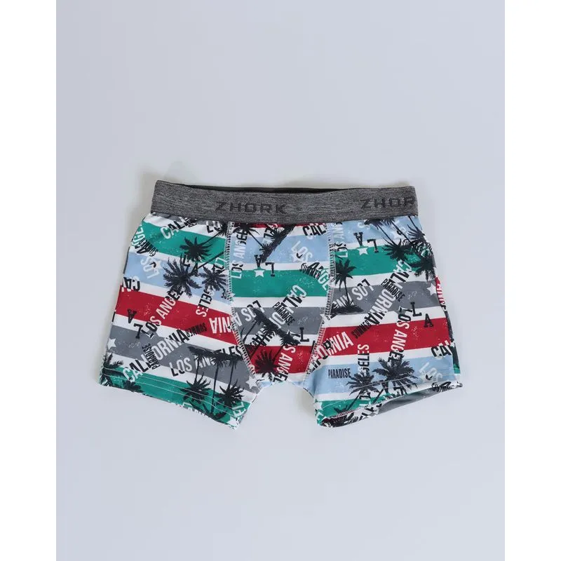 Cueca Boxer Juvenil Coqueiros Branca 12
