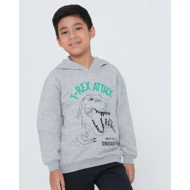Blusão de Moletom Infantil Estampa Dino Cinza Claro 8