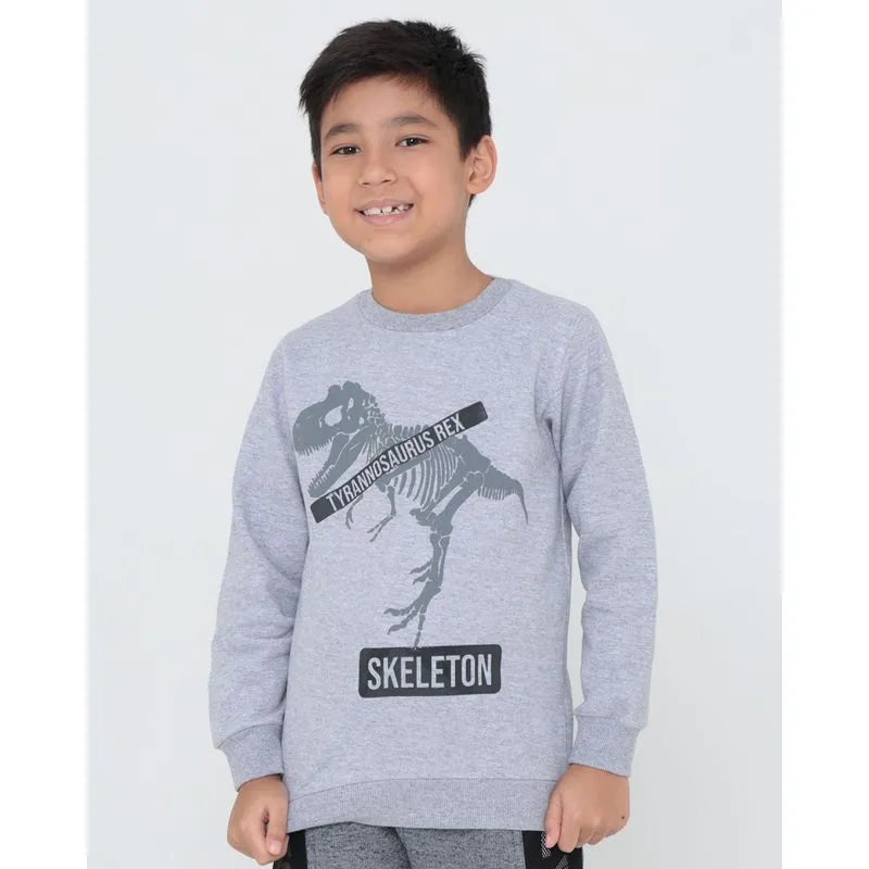 Blusão de Moletom Infantil T- Rex Cinza Claro 4
