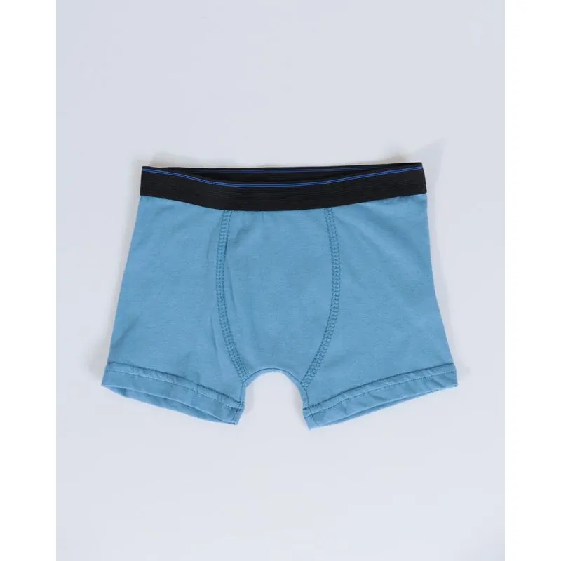 Cueca Boxer Juvenil Algodão Azul Claro 12