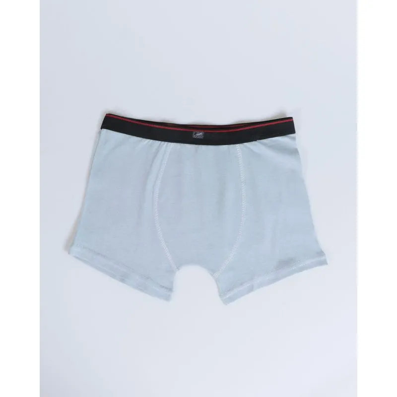 Cueca Boxer Juvenil Algodão Cinza Claro 12