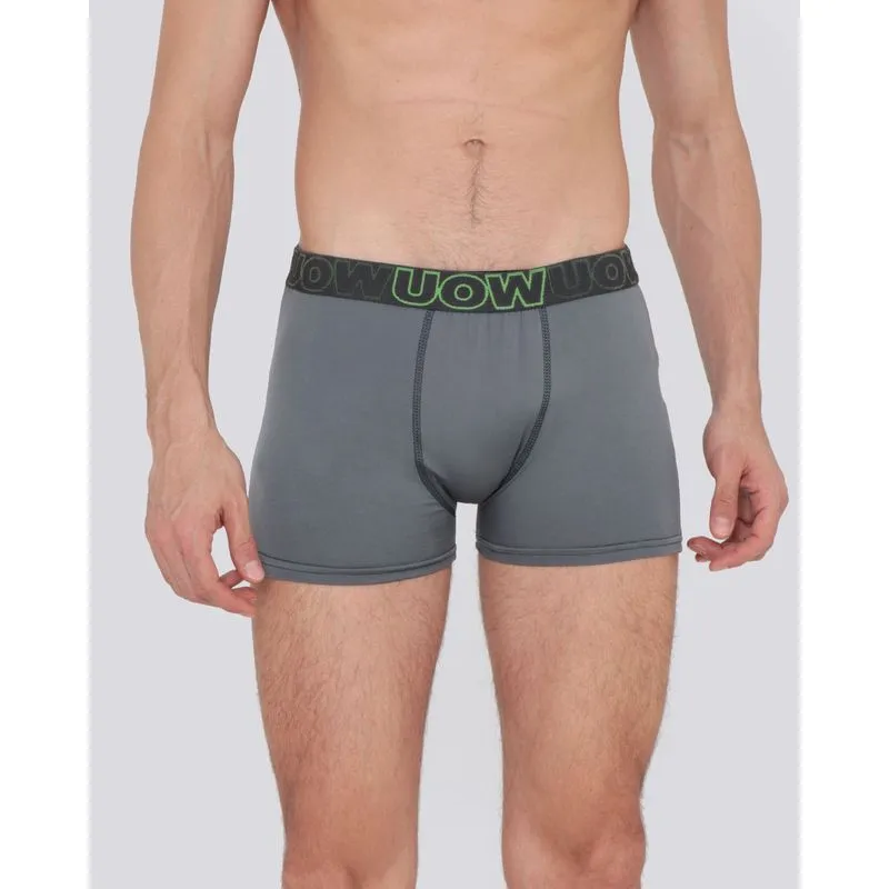 Cueca Boxer Microfibra Cinza G