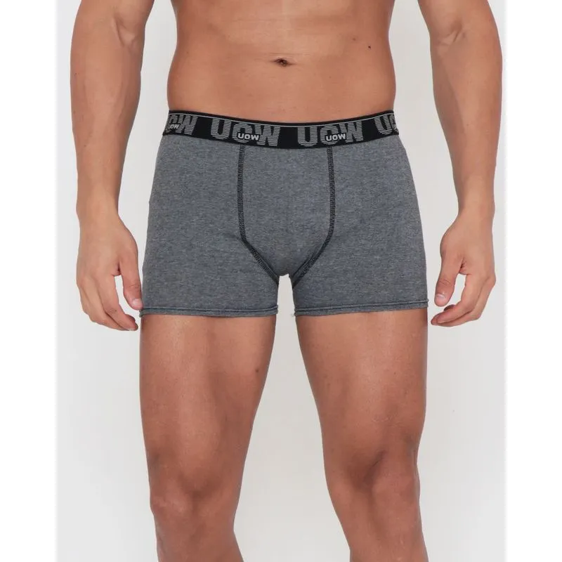 Cueca Boxer Elástico Bordado Lisa Cinza G