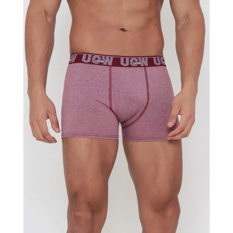 Cueca Boxer Elástico Bordado Lisa Vinho GG